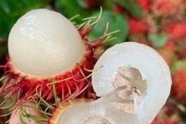 Nhiều trái cây giá giảm sâu