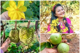 Nhà vườn 6.000m2 lúc lỉu trái cây của "nữ hoàng cảnh nóng" Kiều Trinh 