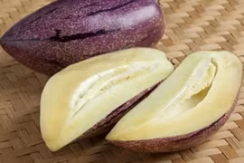 Dưa “cà tím” gây sốt, giá tới 160.000 đồng/kg vẫn cháy hàng