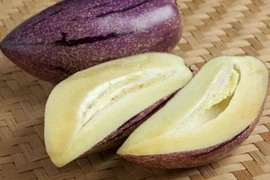 Dưa “cà tím” gây sốt, giá tới 160.000 đồng/kg vẫn cháy hàng