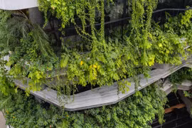 Chiêm ngưỡng tòa nhà 8 tầng như ốc đảo xanh giữa lòng Hà Nội