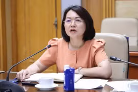 Phát ngôn gây chú ý của Cục trưởng Trần Việt Nga trước khi bị bắt 