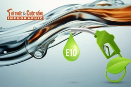 [INFOGRAPHIC] Điều ít biết về xăng E10 sắp phủ sóng cả nước