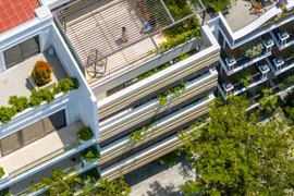 Nhà phố xanh mướt đẹp mê mẩn giữa rừng bê tông 