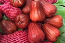 Giá mận An Phước tăng vọt do nhu cầu tăng mạnh