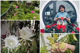 Cận cảnh khu vườn rực rỡ sắc hoa của MC Diễm Quỳnh