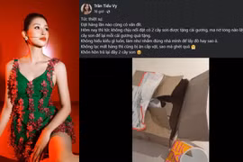Hoa hậu Tiểu Vy đối mặt với kiếp nạn đặt hàng online