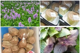 Những thứ vứt đi ở Việt Nam, sang Nhật bán "đắt như vàng"