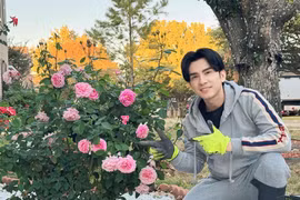 Bên trong biệt thự 300m2 ngập hoa hồng của ca sĩ Đan Trường 