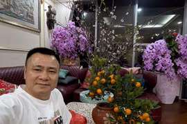 Đón Tết Bính Ngọ 2026, căn nhà của NSND Tự Long ngập tràn sắc hoa 