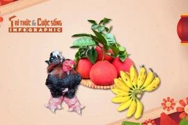 [INFOGRAPHIC] Những đặc sản tiến vua hút khách dịp Tết 