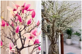 Hai loại hoa 'như cành củi' hút khách dịp Tết Bính Ngọ 2026