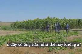 Đột nhập trang trại của Quang Linh Vlog bị cảnh sát kiểm tra