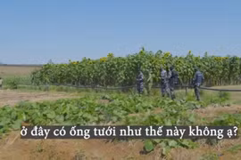 Đột nhập trang trại của Quang Linh Vlog bị cảnh sát kiểm tra