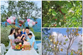 Khu vườn ngập cây trái trong biệt thự trên núi của Mạnh Trường 