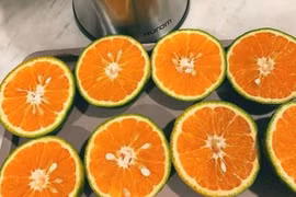 Cam siêu rẻ chỉ vài nghìn đồng/kg đang gây sốt là loại gì?