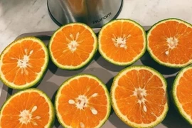 Cam siêu rẻ chỉ vài nghìn đồng/kg đang gây sốt là loại gì?