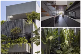 Báo Mỹ ca tụng ngôi nhà "biết thở" ở Hưng Yên 