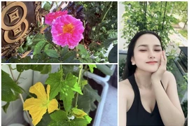 Khu vườn rực rỡ sắc hoa của "nhạc sĩ giàu nhất Việt Nam"