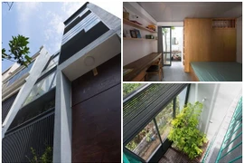 Chỉ 36m2, nhà phố Hà Nội vẫn ngập gió và ánh sáng 