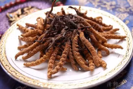 “Tiên dược” chốn núi cao hơn 2 tỷ/kg có gì đặc biệt?