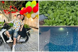 Cận cảnh biệt thự sân vườn khang trang của Lê Dương Bảo Lâm 