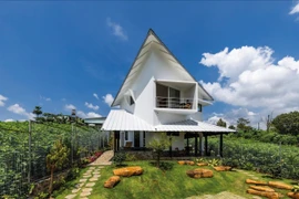 Ngôi nhà trên đồi với tầm nhìn đẹp mê hồn khiến báo ngoại hết lời ca tụng