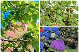 Toàn cảnh biệt phủ hoa trái lúc lỉu của danh hài Vượng Râu