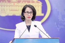 Việt Nam quan ngại sâu sắc việc Mỹ áp thuế các nước cung cấp dầu cho Cuba