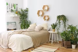 5 vị trí đặt cây trong nhà tưởng đẹp nhưng rước họa