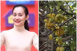 Khu vườn giản dị ngập rau trái của NSƯT Hạnh Thúy