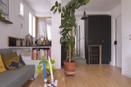 Khám phá căn hộ 25m² tối ưu tiện nghi và ánh sáng tự nhiên