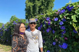 Cận cảnh biệt thự 1.000m2 của danh ca Hương Lan tại Mỹ 