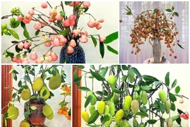 Những bình quả lạ trang trí nhà đẹp mê mẩn đang gây sốt 