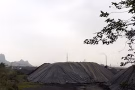 Không có giấy phép môi trường, Công ty Đà Nẵng bị xử phạt 