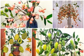 Những bình quả lạ trang trí nhà đẹp mê mẩn đang gây sốt 