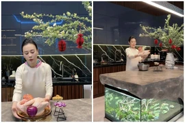 Biệt thự trong 'khu nhà giàu' của Phương Oanh hiện có gì khác biệt?