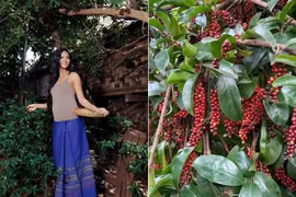 Bên trong khu vườn hơn 2.000m2 của Hoa hậu H'Hen Niê
