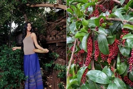 Bên trong khu vườn hơn 2.000m2 của Hoa hậu H'Hen Niê