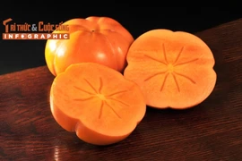 [INFOGRAPHIC] 3 giống hồng Nhật Bản đắt đỏ hút khách tại Việt Nam