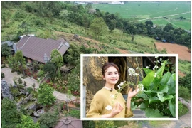 Cận cảnh cơ ngơi 8000m2 của nữ NSND trẻ nhất Việt Nam