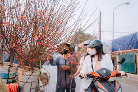 Dự báo thời tiết 15/2/2026: Miền Bắc nắng ấm, nhiệt độ tăng 