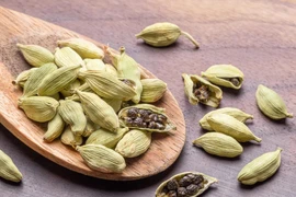 Gia vị "đắt bậc nhất thế giới", Việt Nam trồng bạt ngàn 