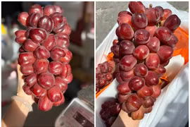 Nho trái tim đắt gấp 10 lần nho “quý tộc” gây sốt chợ Việt