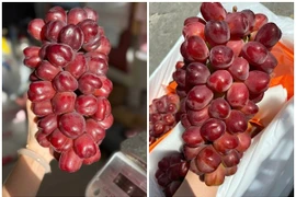 Nho trái tim đắt gấp 10 lần nho “quý tộc” gây sốt chợ Việt