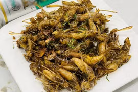 Đặc sản quê đắt ngang tôm hùm, có tiền chưa chắc mua được