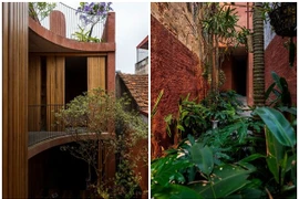 Nhà trong ngõ như hệ sinh thái thu nhỏ giữa Hà Nội