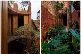 Nhà trong ngõ như hệ sinh thái thu nhỏ giữa Hà Nội