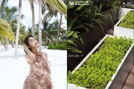 Doãn Hải My tự tay chăm từng góc biệt thự chục tỷ 