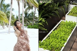 Doãn Hải My tự tay chăm từng góc biệt thự chục tỷ 